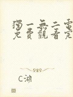 独一无二电视剧免费观看完整版高清