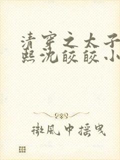 清穿之太子妃康熙沈皎皎小说