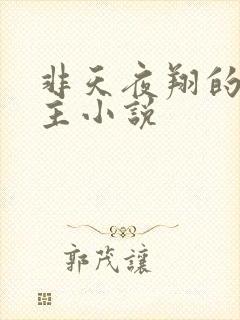 非天夜翔的双男主小说