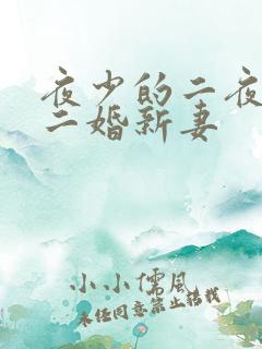 夜少的二夜少的二婚新妻