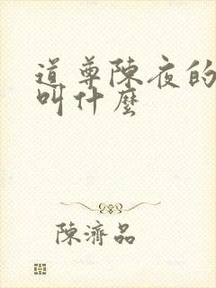 道尊陈夜的小说叫什么