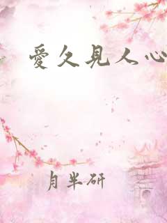 爱久见人心歌词