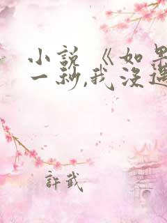 小说 《如果这一秒,我没遇见你》