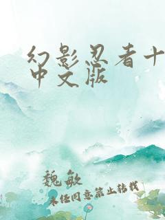 幻影忍者十五季中文版