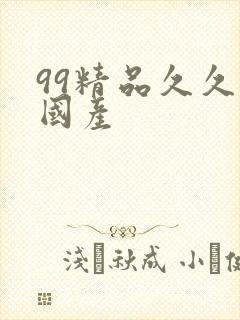 99精品久久久国产