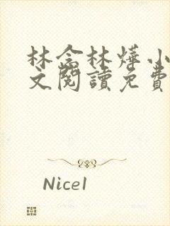 林念林烨小说全文阅读免费