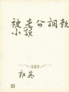 被老公调教女奴小说