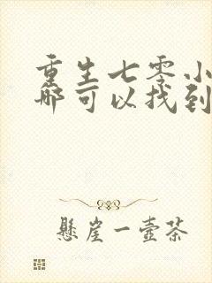 重生七零小辣媳哪可以找到