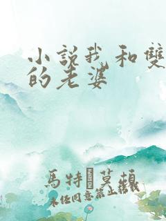 小说我和双胞胎的老婆