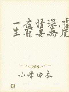 一夜情深,霍先生宠妻无度 小说完整