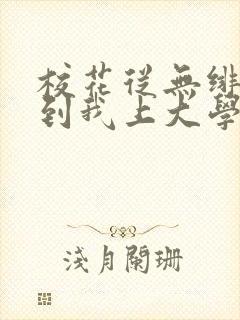 校花从无绯闻直到我上大学下载