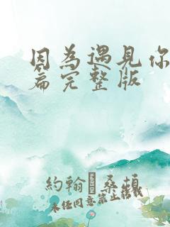 因为遇见你番外篇完整版