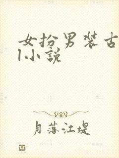 女扮男装古代gl小说
