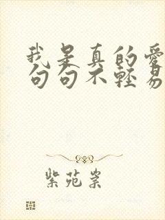 我是真的爱你 句句不轻易是什么歌