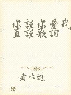 你说你爱我却一直说歌词