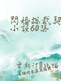 闪婚总裁契约妻小说60集