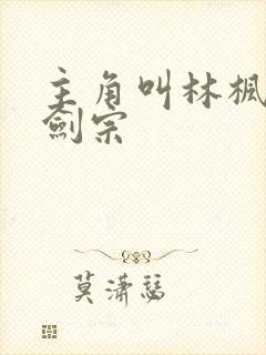 主角叫林枫神霄剑宗