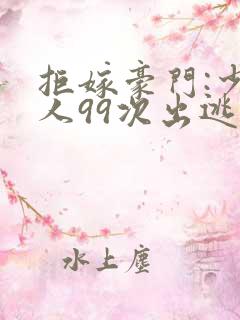 拒嫁豪门:少夫人99次出逃作者