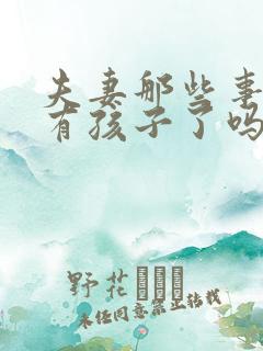 夫妻那些事最后有孩子了吗