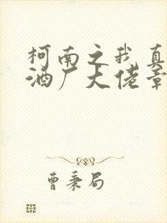 柯南之我真不是酒厂大佬章节