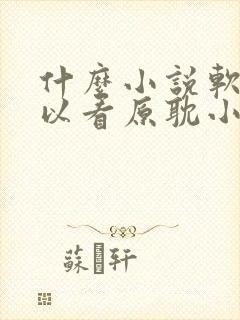 什么小说软件可以看原耽小说