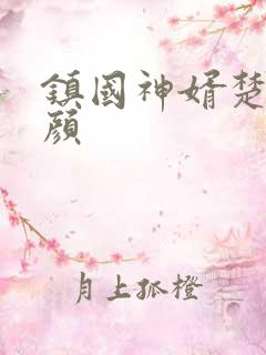 镇国神婿楚尘宋颜