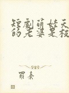 短剧萌娃天降我的老婆是校花