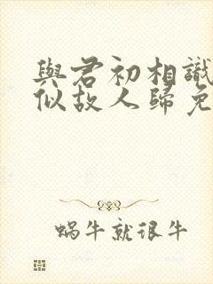 与君初相识,恰似故人归免费观看