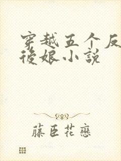 穿越五个反派的后娘小说