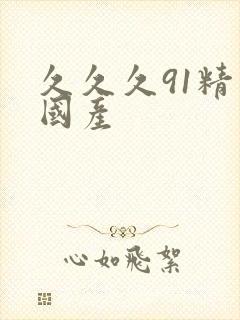 久久久91精品国产