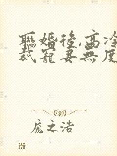 联婚后,高冷总裁宠妻无度