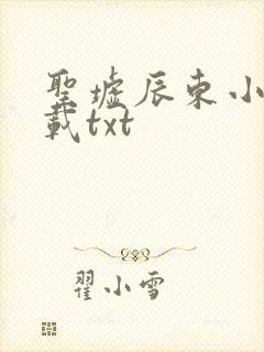 圣墟辰东小说下载txt