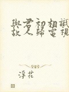 与君初相识恰似故人归电视剧