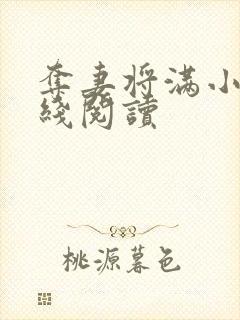 夺妻将满小说在线阅读