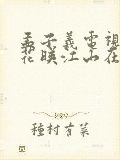 孟子义电视剧桃花映江山在线观看