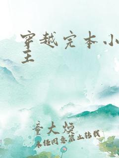 穿越完本小说男主