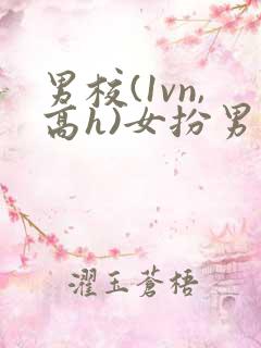 男校(1vn,高h)女扮男装