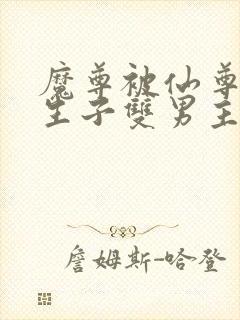 魔尊被仙尊囚禁生子双男主