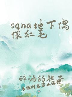 sana地下偶像红毛