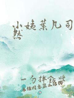 小姨叶凡司徒嫣然