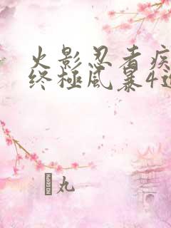 火影忍者疾风传终极风暴4进不去