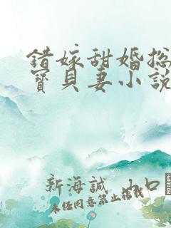 错嫁甜婚总裁的宝贝妻小说