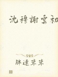 沈穆谢云初番外