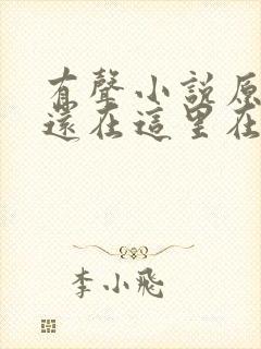 有声小说原来你还在这里在线收听