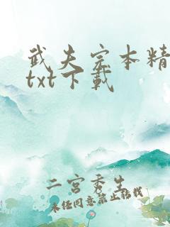 武夫完本精校版txt下载