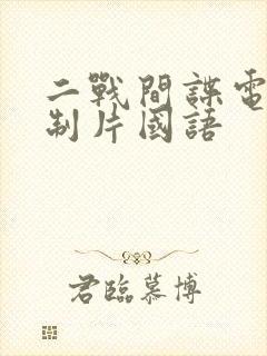 二战间谍电影译制片国语