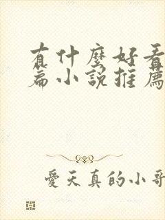 有什么好看的长篇小说推荐一下