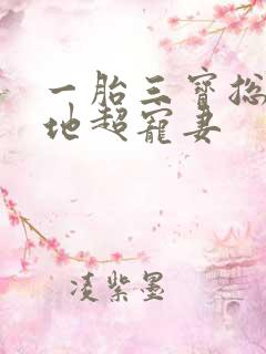 一胎三宝总裁爹地超宠妻
