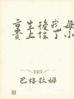 重生后我母凭子贵上位了小说