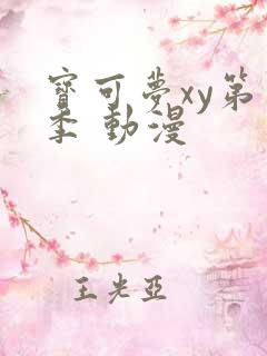 宝可梦xy第二季 动漫